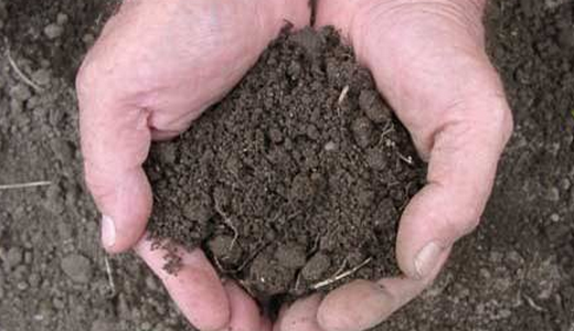 как определить состав почвы